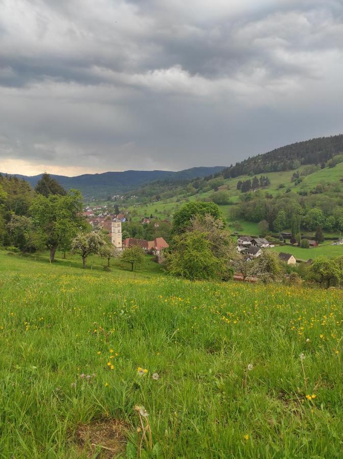 Gite Luxury A Soultzeren Buitenkant foto