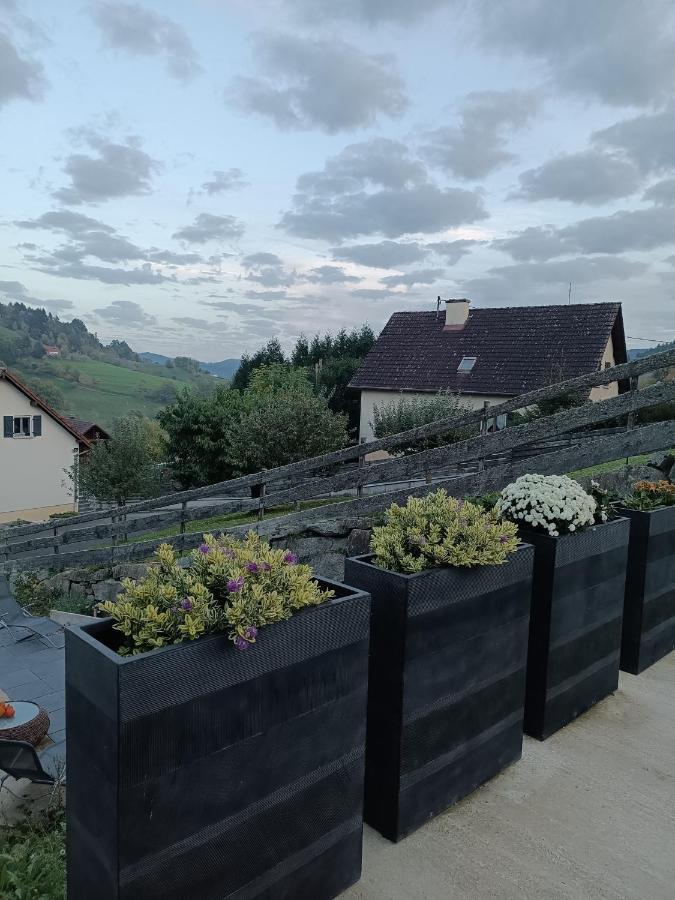 Gite Luxury A Soultzeren Buitenkant foto